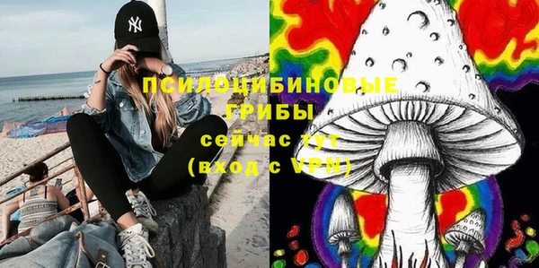прущий лед Аркадак