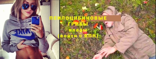 ALPHA PVP Алзамай