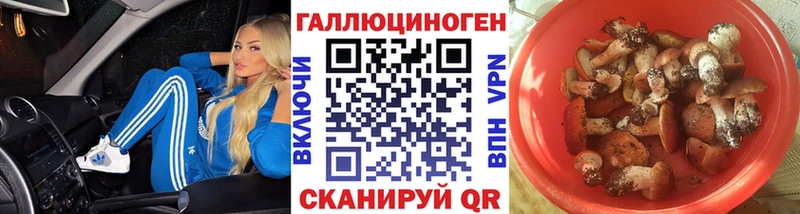 Галлюциногенные грибы мицелий  Купить где  Верещагино 